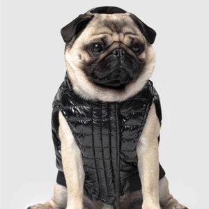 Canada Pooch Shiny Puffer Vest